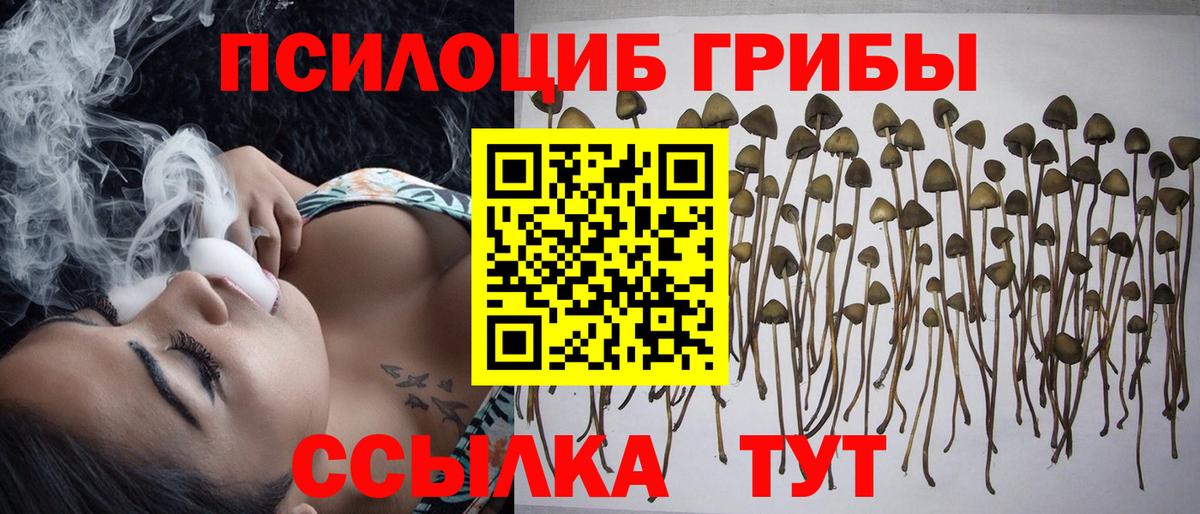 Псилоцибиновые грибы мухоморы Боровичи